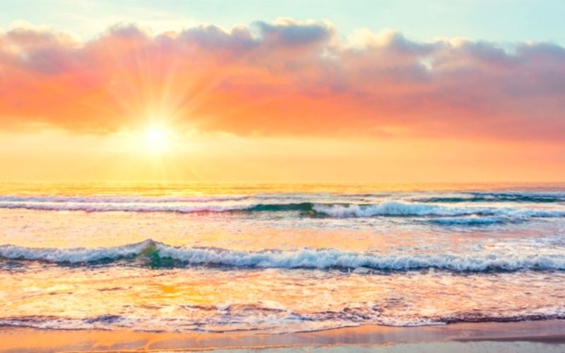 Phát triển kỹ năng mềm cho sinh viên mới ra trường (Sample 9)