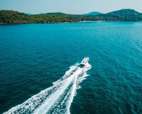 Nghệ thuật thưởng thức trà đạo truyền thống (Sample 10)