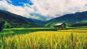 Tương lai của trí tuệ nhân tạo trong đời sống (Sample 9)