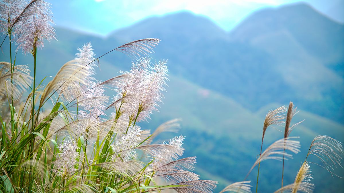 Tương lai của trí tuệ nhân tạo trong đời sống (Sample 9)