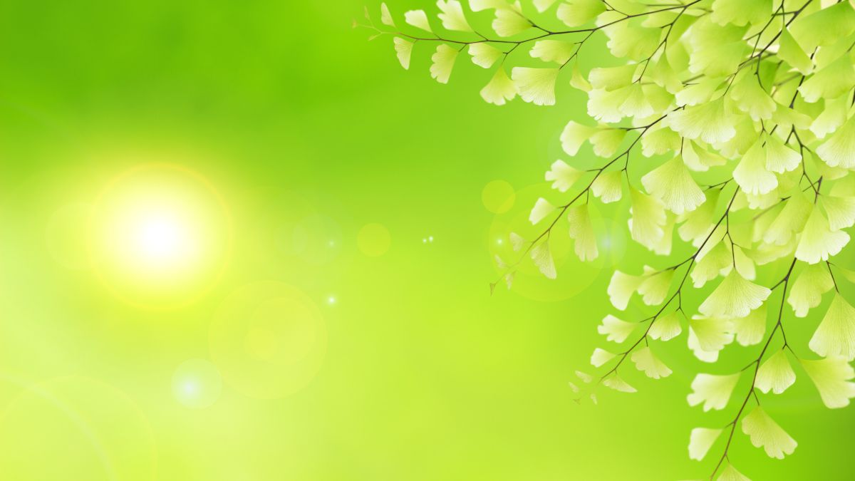 Khám phá xu hướng công nghệ mới nhất 2024 (Sample 9)