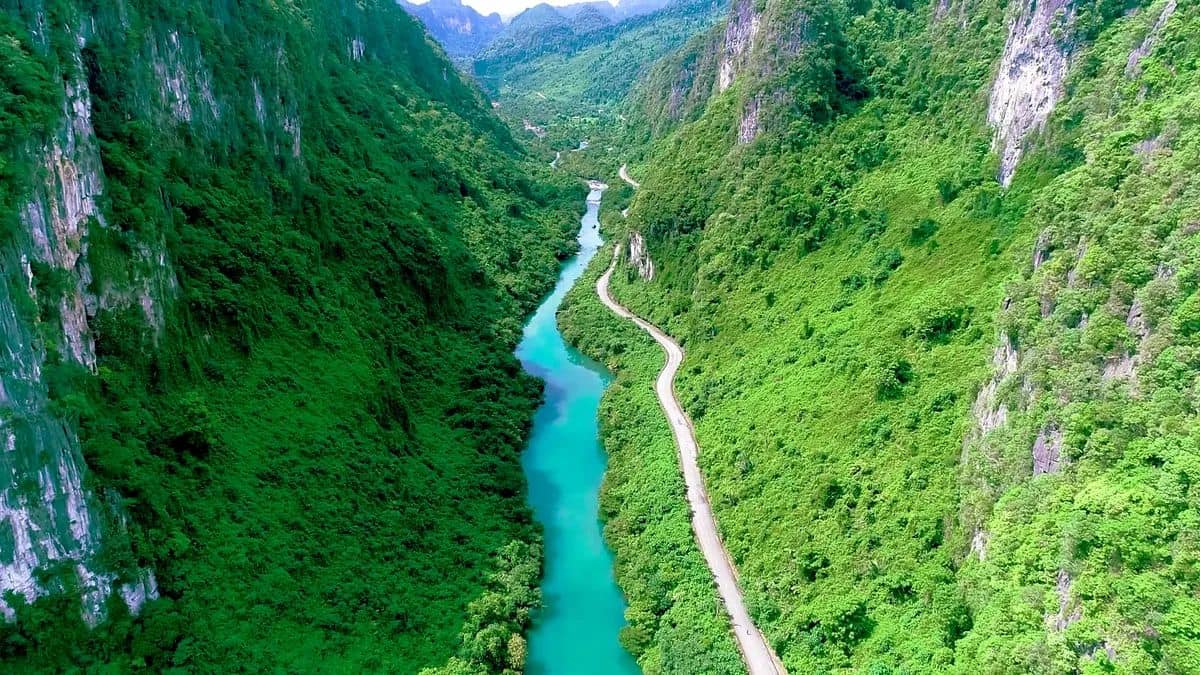 Phát triển kỹ năng mềm cho sinh viên mới ra trường (Sample 10)