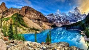 Nghệ thuật thưởng thức trà đạo truyền thống (Sample 6)