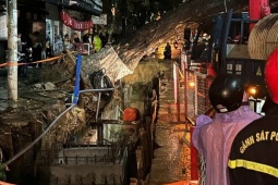 Bí quyết sống khỏe mỗi ngày cho người bận rộn (Sample 6)