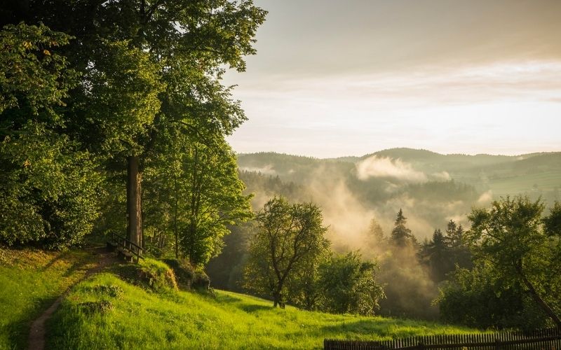 Cách tối ưu hóa hiệu suất làm việc (Sample 8)