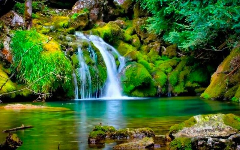 Lợi ích của việc học ngôn ngữ mới (Sample 5)