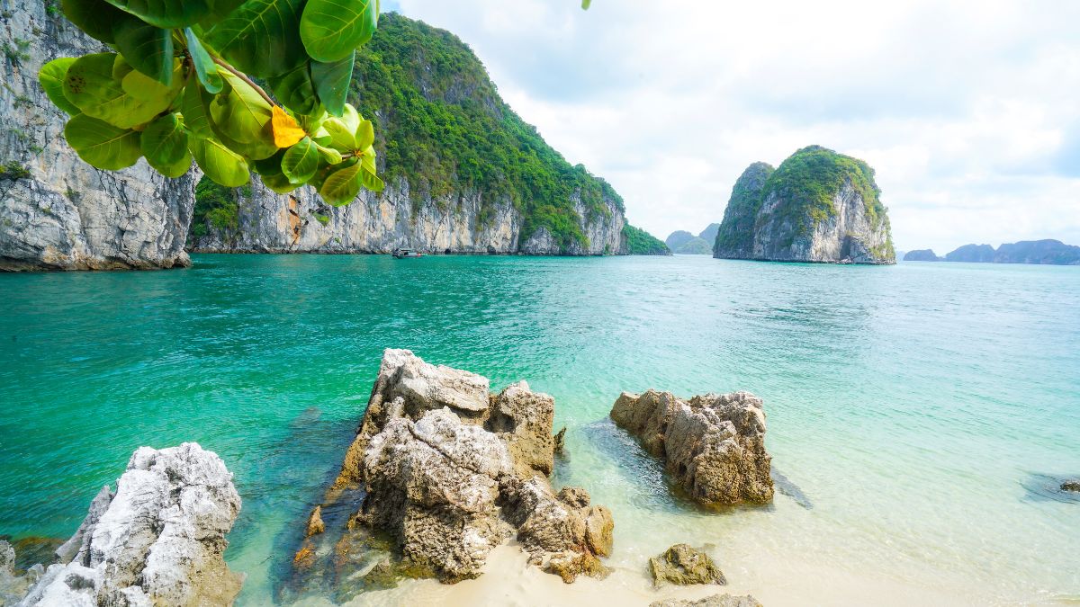 Ứng dụng Blockchain trong quản lý chuỗi cung ứng (Sample 10)