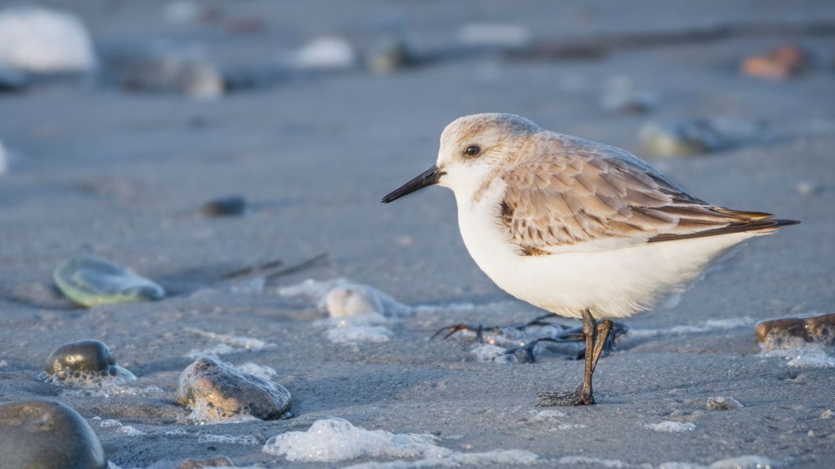 Khám phá xu hướng công nghệ mới nhất 2024 (Sample 8)