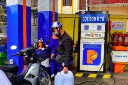 Lợi ích của việc học ngôn ngữ mới (Sample 2)