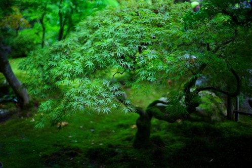 Cách tối ưu hóa hiệu suất làm việc (Sample 7)