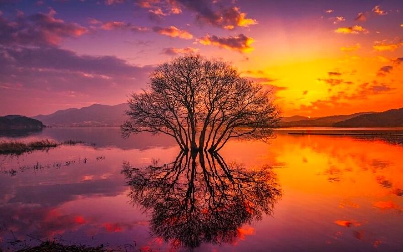 Nghệ thuật thưởng thức trà đạo truyền thống (Sample 2)