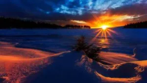 Lợi ích của việc học ngôn ngữ mới (Sample 10)